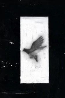 Arte de la Cubierta