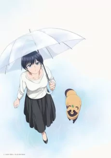 Capa de Ame to Kimi to