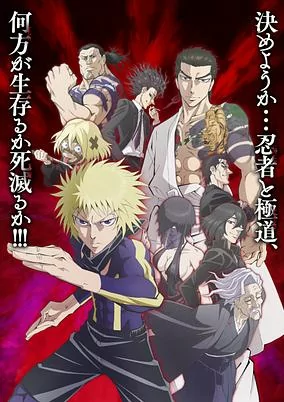 Capa de Ninja to Gokudou
