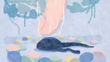 Titelbild von Tsukimi Gokochi