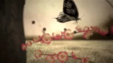 Cover of Hirara Koi Kochou