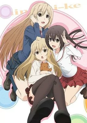 Capa de Minami-ke Tadaima
