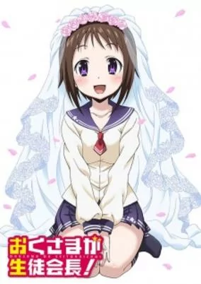 Capa de Okusama ga Seitokaichou!