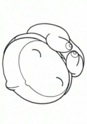 Cover of The Embryo Develops into a Fetus