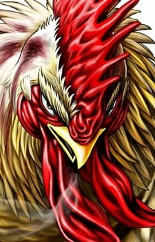 Arte de la Cubierta