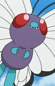 Arte de la Cubierta
