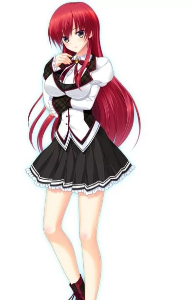 Arte de la Cubierta