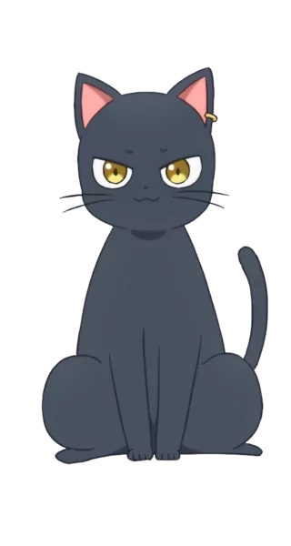 43c3c3f3f7f7f00.webp