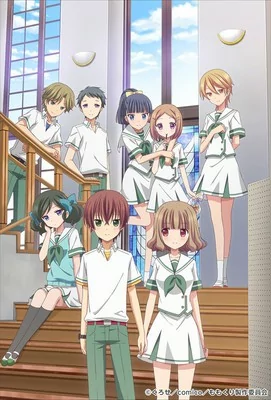 ffff731e08fc0c00.webp