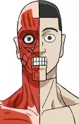 Capa de Personajes