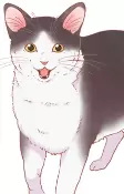 Capa de Personagens