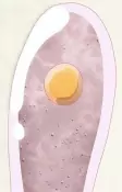 Titelbild von Charaktere