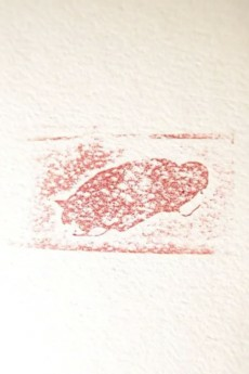 Titelbild von Tumbled Cat
