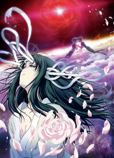 Capa de Kara no Kyoukai 4: Garan no Dou