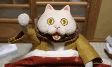 Titelbild von Kotatsu Neko (ONA)