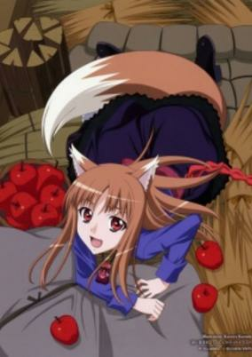 Capa de Ookami to Koushinryou II Specials