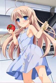Capa de Hajimete no Orusuban