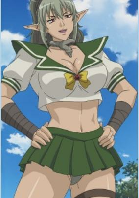 Capa de Queens Blade: Gyokuza wo Tsugu Mono Specials