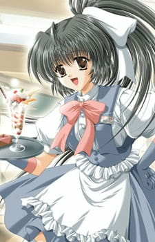 Capa de Unbalance