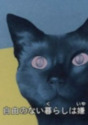 Cover of Cats Eye Love