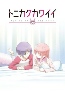 Capa de Tonikaku Kawaii: SNS
