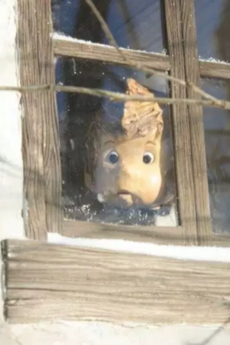 Arte de la Cubierta
