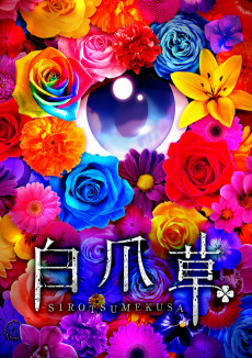 Cover of Sirotsumekusa
