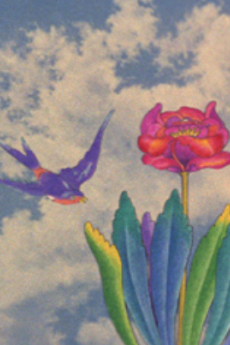 Cover of La Golondrina