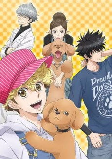 Capa de Dog Signal