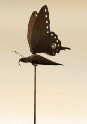 Cover of Lost Butterfly