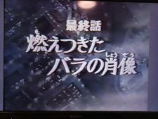 Capa de Versailles no Bara: Moetsukita Bara no Shouzou
