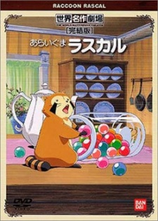 Capa de Araiguma Rascal