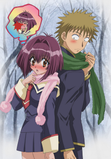 Capa de Karin