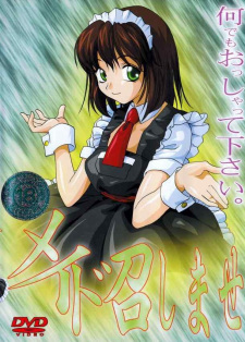 Capa de Maid Meshimase