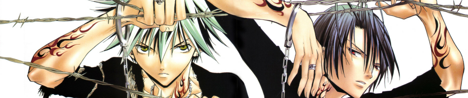 banner