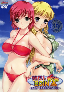 Capa de Resort Boin