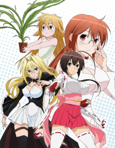 Capa de Sekirei