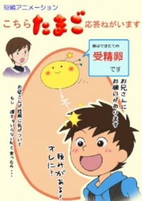 Capa de Kochira Tamago Outou Negaimasu
