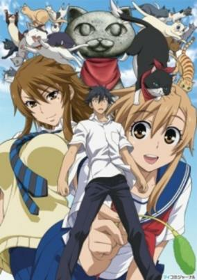 Capa de Nyan Koi!