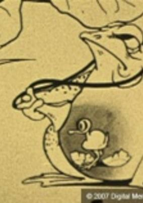 Arte de la Cubierta
