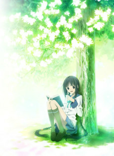Capa de "Bungaku Shoujo" Movie