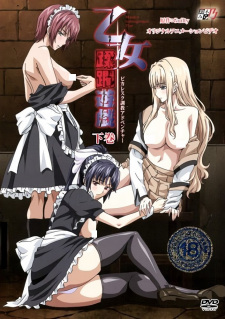 Titelbild von Otome Juurin Yuugi: Maiden Infringement Play