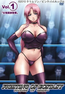 Titelbild von Fighting of Ecstasy