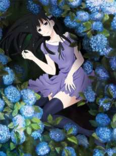 Capa de Sankarea