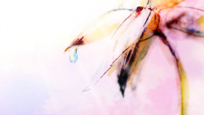 Cover of Hanabi (2020)