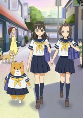 Capa de Shiba Inuko-san