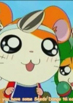 Capa de Tottoko Hamtarou Hai!