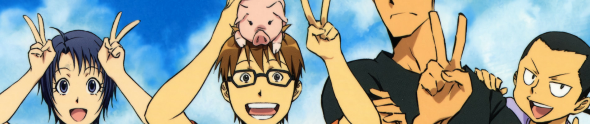 banner