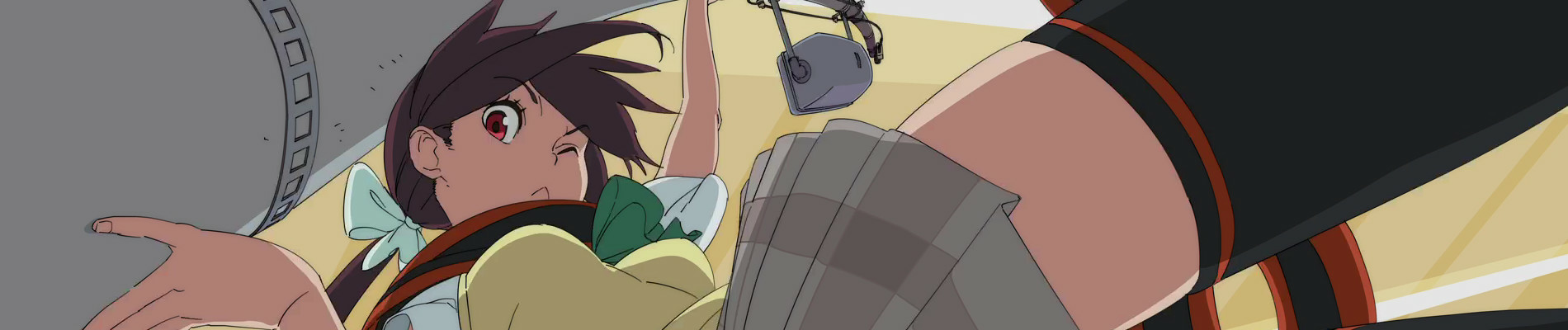 banner