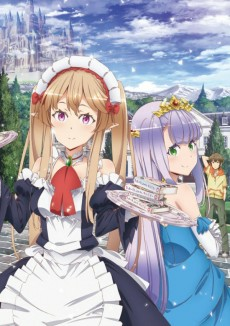 Capa de Outbreak Company